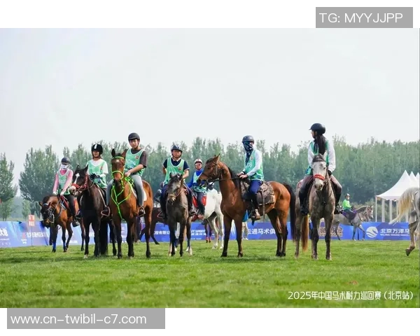 我国马术工业十年开展全解析（上篇）：2020-2025年开展回忆与沉淀